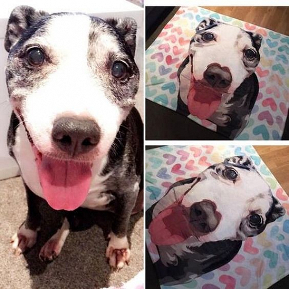 Custom Dog Blankets Personalized Pet Photo Blankets Painted Art Portrait Fleece Blanket PW005
