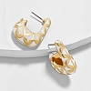 Fashion Pattern Earrings PW983