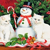 Snowman and Cats Christmas Gift Full Drill 5D Diamond Painting Kit PW488