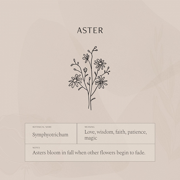 Aster Flower Necklace PW843