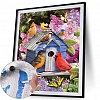 Diy Paint by Number Kits - Bird House PW656