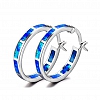  Circle Hoop Earrings PWB316