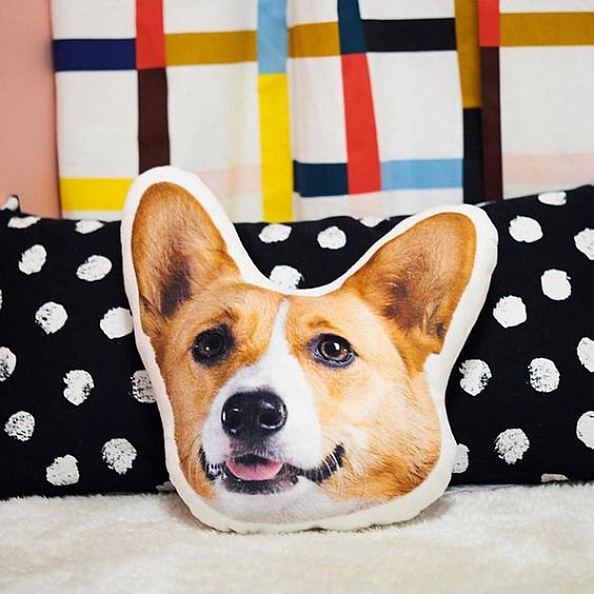 Custom Pet Photo Pillow, Custom Pet Face Pillow, 3D Portrait Pillow PW087