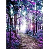 DIY Paint By Numbers Kit(40x50cm) Purple Grove-PW761