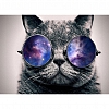 DIY Paint By Numbers Kit(40x50cm) - Glasses Cat PW783