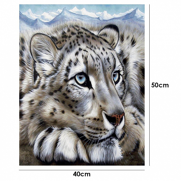 DIY Paint By Number Kits-Tiger(40*50 CM) PW610