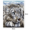 DIY Paint By Number Kits-Tiger(40*50 CM) PW610