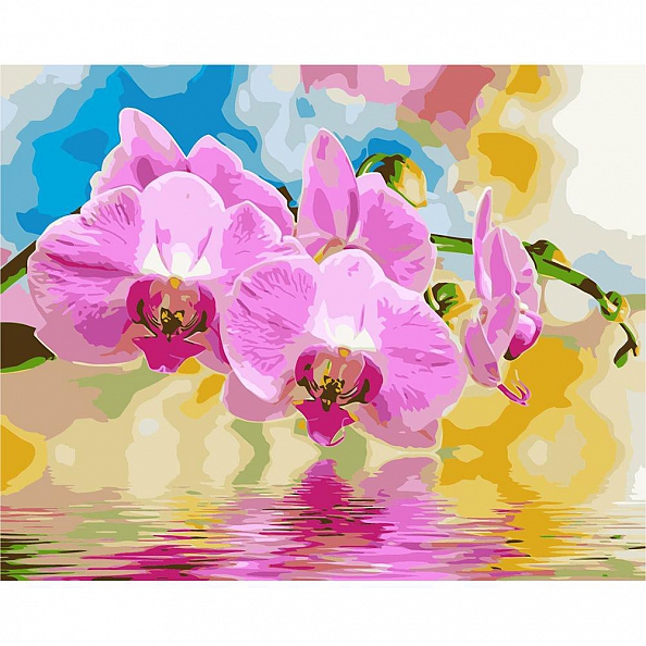 Diy Paint by Number Kits- Pink Flowers PW647