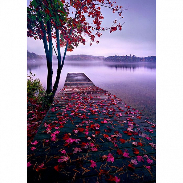 Autumn Lake Full Drill 5D Diamond Painting Kit PW451