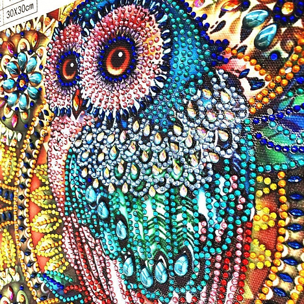 DIY Crystal Rhinestone Diamond Painting- Owl PW720