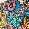 DIY Crystal Rhinestone Diamond Painting- Owl PW720