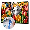 DIY Paint By Numbers Kit(40x50cm) Butterfly Cat PW760