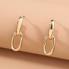 Exaggerated metal chain earrings PWB129