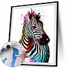 Paint By Numbers-DIY Zebra(40*50 CM) PW741