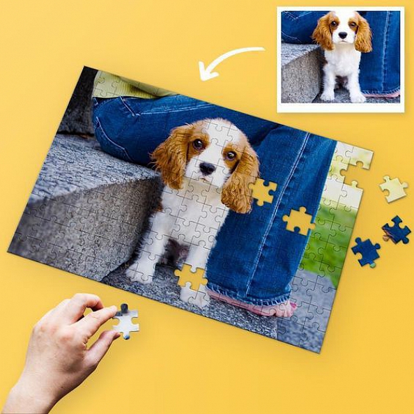 Custom Pet Photo Jigsaw Puzzle Best Indoor Gifts 35-1500 pieces PW224