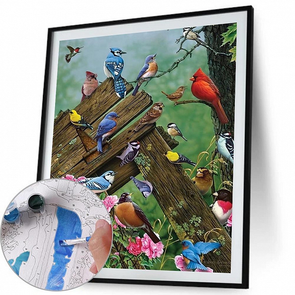 Diy Paint by Number Kits - Resting Birds PW652