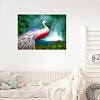 Paint By Numbers-DIY Peafowl(40*50 CM) PW740