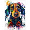 DIY Full Drill Round Beads Diamond Painting - Colorful Dog  PW732