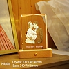 9K Crystal Natural Beech Custom Lamp with Photos PW290