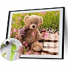 Diy Paint by Number Kits-Cute Bear PW651