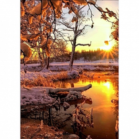 Winter Scenery Full Drill 5D Diamond Painting Kit PW446