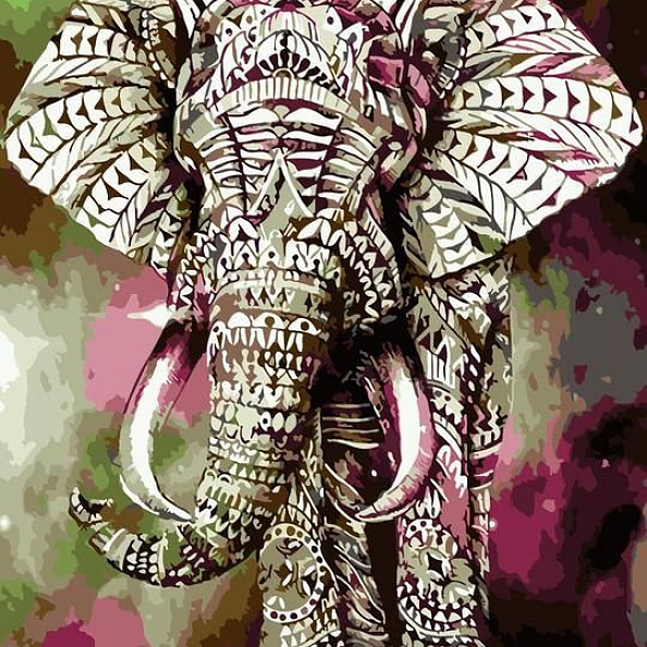 Animal Elephant Paint By Numbers Kits PW166