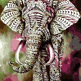 Animal Elephant Paint By Numbers Kits PW166