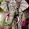 Animal Elephant Paint By Numbers Kits PW166