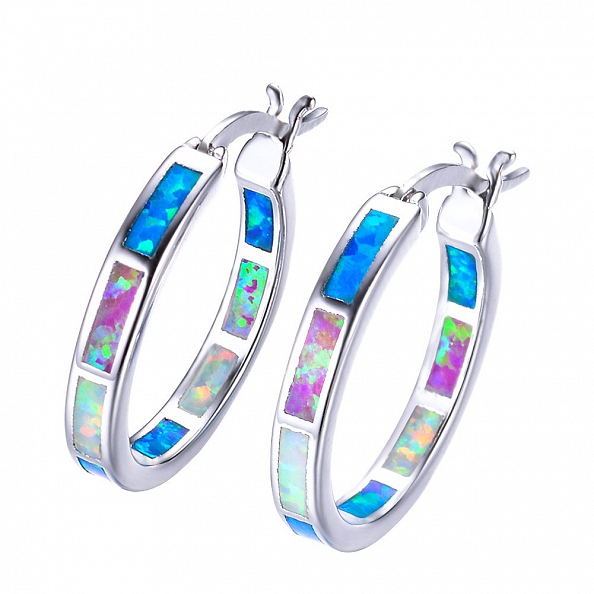  Circle Hoop Earrings PWB316