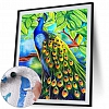 DIY Paint By Number Kits-Peacock (40*50 CM) PW619