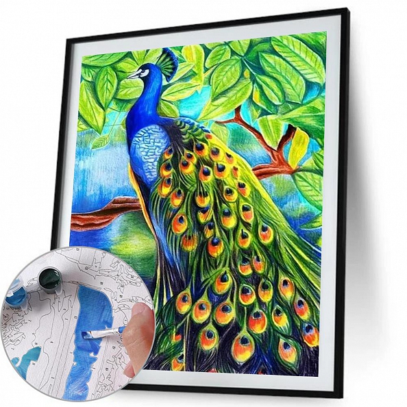 DIY Paint By Number Kits-Peacock (40*50 CM) PW619