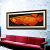 Red Fish 5D Diamond Painting Kit PW506