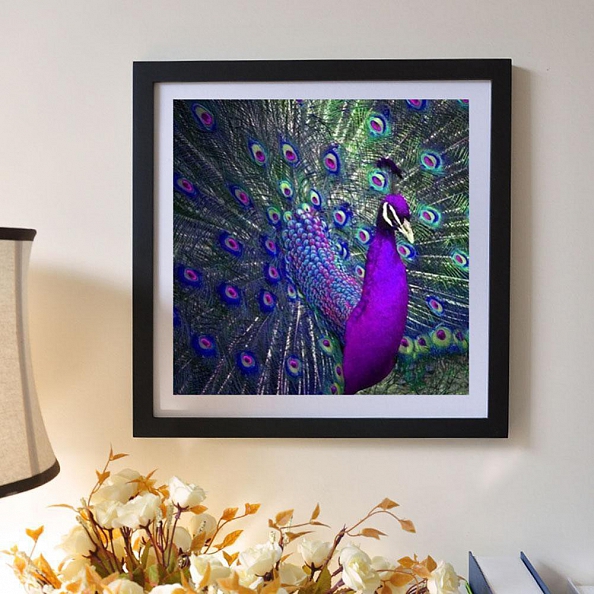 Peacock - Full Round Diamond Painting PW690