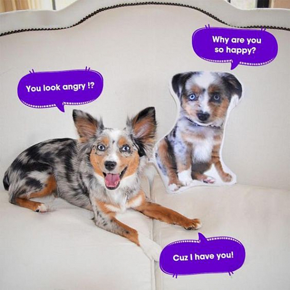 Custom Pet Photo Pillow, Custom Pet Face Pillow, 3D Portrait Pillow PW091