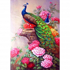 Garden Peacock Full Drill 5D Diamond Painting Kit  PW467
