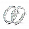  Circle Hoop Earrings PWB316