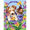 DIY Paint By Numbers Kit(40x50cm) Cat Dog-PW768