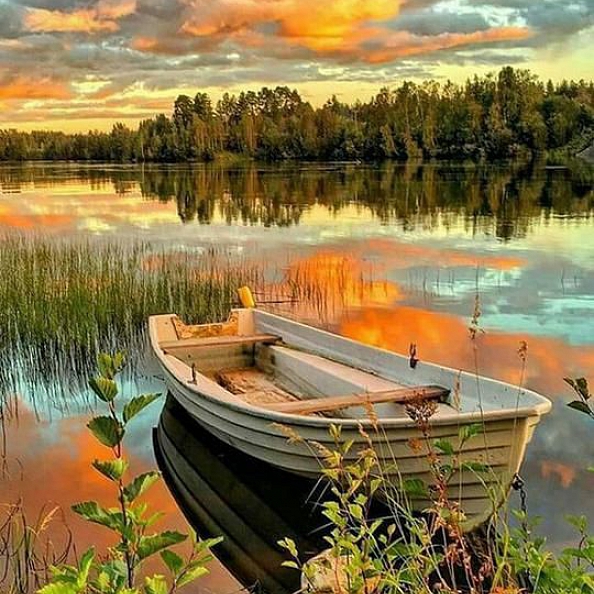 Landscape Boats Paint By Numbers Kits PW164