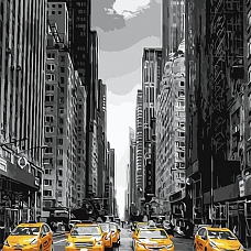 Landscape New York Paint By Numbers Kits PW355