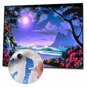 DIY Paint By Numbers Kit(40x50cm) Moon-PW758