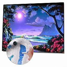 DIY Paint By Numbers Kit(40x50cm) Moon-PW758