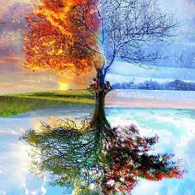 Tree Paint By Numbers Kits PW112