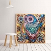 DIY Crystal Rhinestone Diamond Painting- Owl PW720