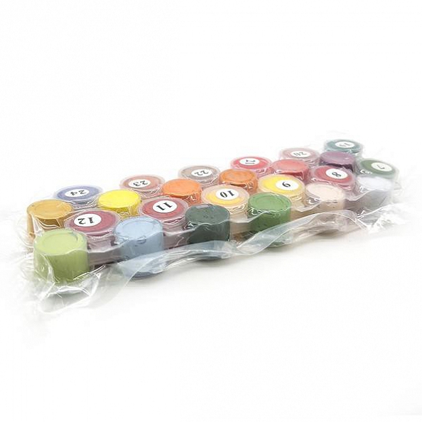 DIY Paint By Number Kits-Flowers(40*50 CM) PW618