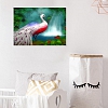 Paint By Numbers-DIY Peafowl(40*50 CM) PW740