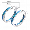  Circle Hoop Earrings PWB316