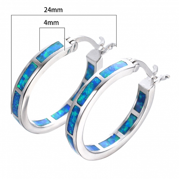  Circle Hoop Earrings PWB316