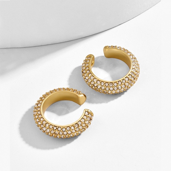 C Shape Earrings PW980