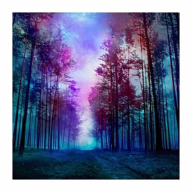 DIY Full Round Diamond Painting-Forest PW809