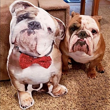 Custom Pet Photo Pillow, Custom Pet Face Pillow, 3D Portrait Pillow PW087